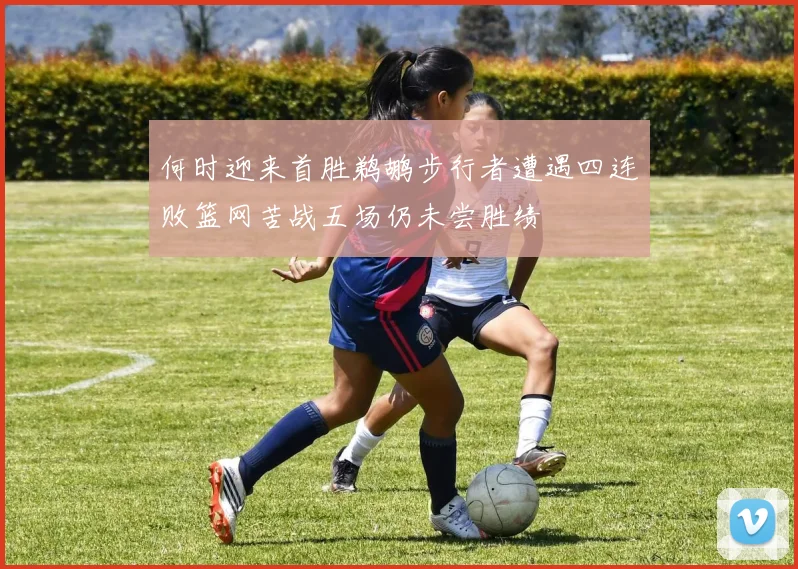 何时迎来首胜鹈鹕步行者遭遇四连败篮网苦战五场仍未尝胜绩