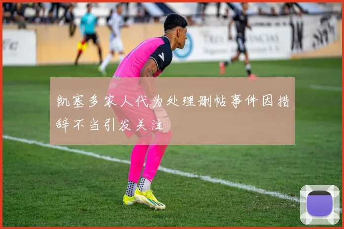凯塞多家人代为处理删帖事件因措辞不当引发关注