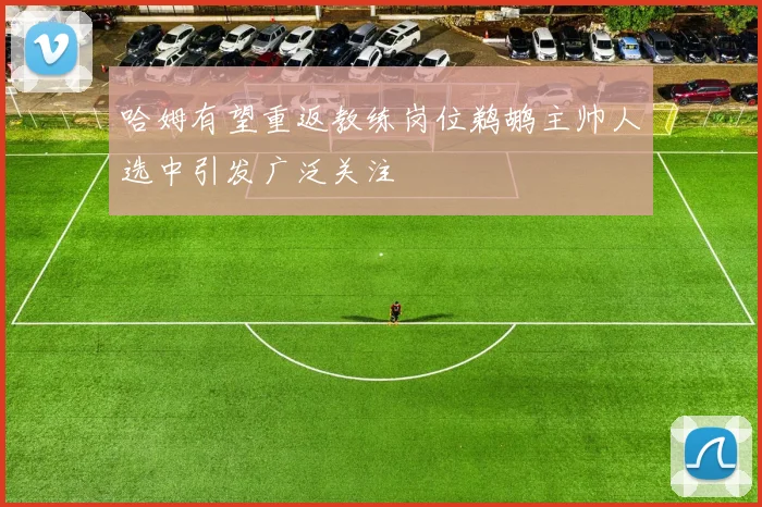 哈姆有望重返教练岗位鹈鹕主帅人选中引发广泛关注